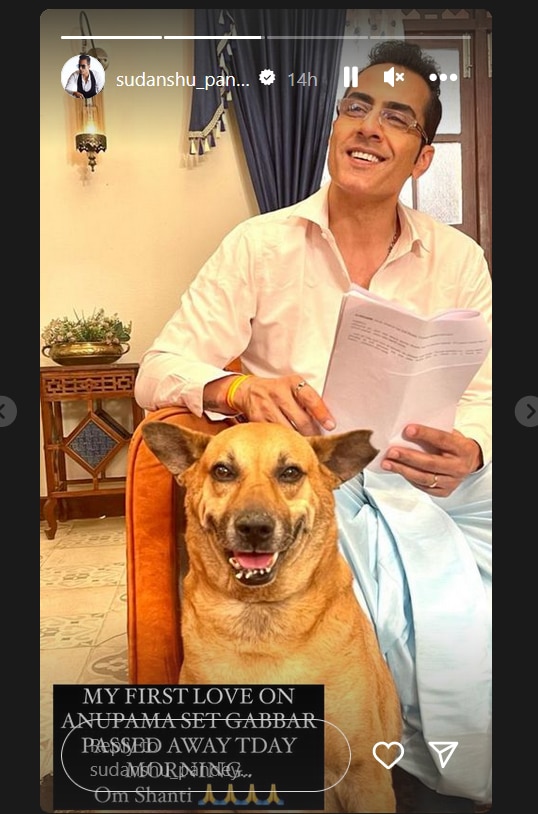 अनुपमा के इस करीबी ने दुनिया को कहा अलविदा, पोस्ट शेयर कर इमोशनल हुई रूपाली गांगुली