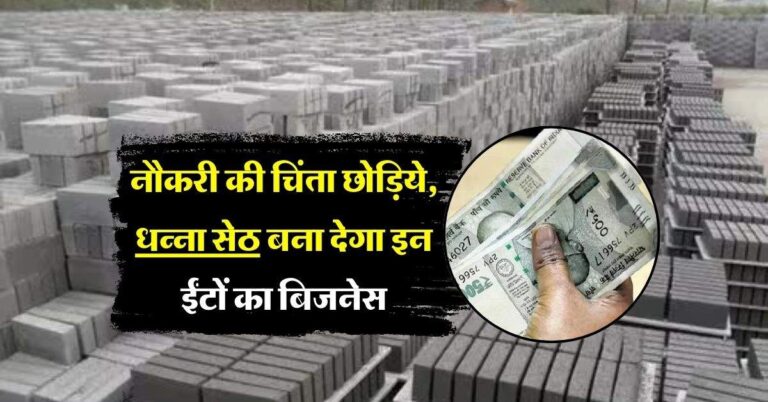 business idea: नौकरी की चिंता छोड़िये, धन्ना सेठ बना देगा इन ईंटों का बिजनेस, जानिये कैसे करें शुरू और कितनी है कमाई
