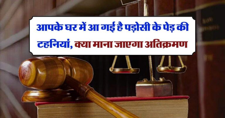 property knowledge : आपके घर में आ गई है पड़ोसी के पेड़ की टहनियां, क्या माना जाएगा अतिक्रमण, जानिये कानून