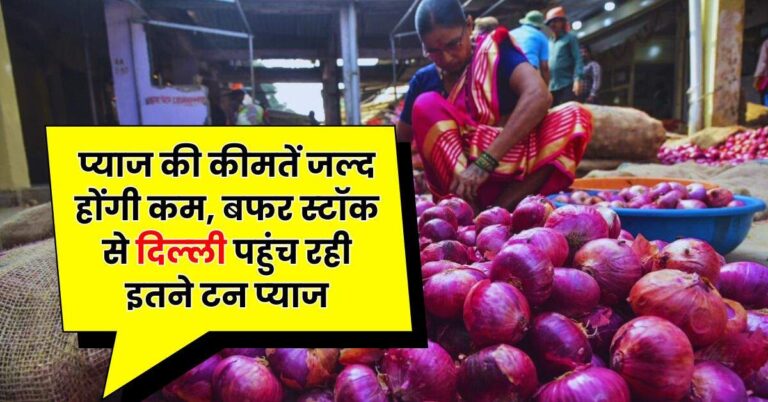 Onion Price: प्याज की कीमतें जल्द हाेंगी कम, बफर स्‍टॉक से द‍िल्‍ली पहुंच रही इतने टन प्‍याज