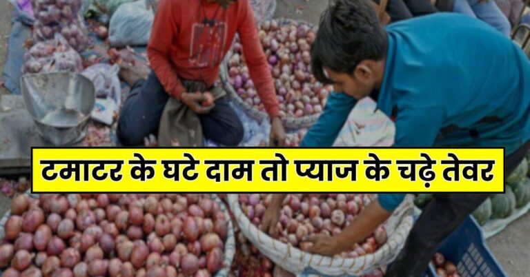 Onion Price: टमाटर के घटे दाम तो प्याज के चढ़े तेवर, बिगड़ा जायके का स्वाद, जानिए कब होगा सस्ता