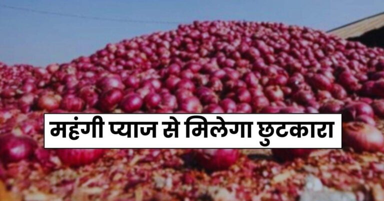 Onion Prices: प्याज की बढ़ती कीमतों को रोकने के लिए सरकार का नया प्लान तैयार, महंगी प्‍याज से म‍िलेगा छुटकारा
