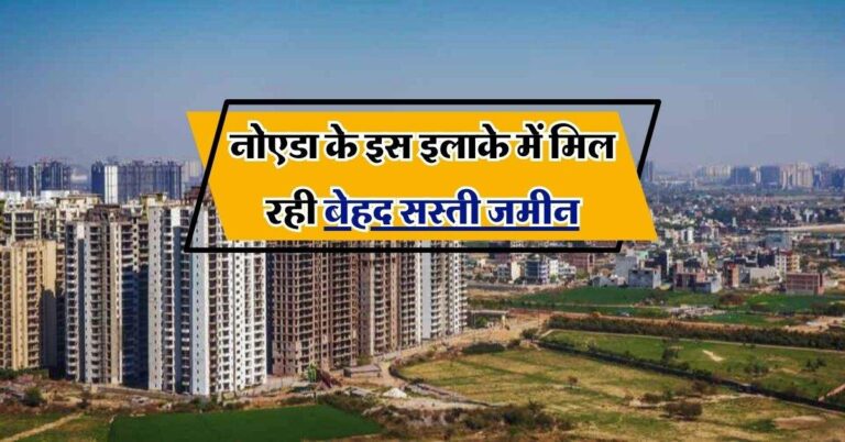 Delhi NCR Property : नोएडा के इस इलाके में मिल रही बेहद सस्ती जमीन, कहीं हाथ से निकल जाए मौका
