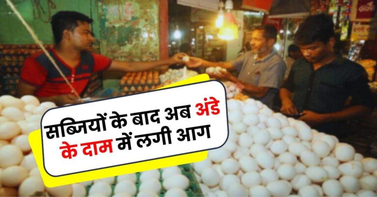 Egg Price: सब्‍ज‍ियों के बाद अब अंडे के दाम में लगी आग, बढ़े 25 प्रत‍िशत रेट, चेक करें नई कीमतें