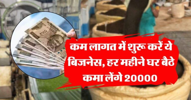 Business idea : कम लागत में शुरू करें ये बिजनेस, हर महीने घर बैठे कमा लेंगे 20000