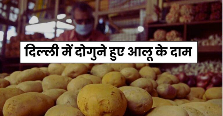 Potato Price Hike – आम जनता को महंगाई का झटका, दिल्ली में दोगुने हुए आलू के दाम, जानें क्यों अचानक बढ़ गए रेट