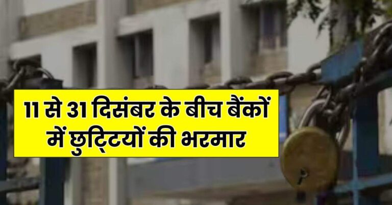 Bank Holiday : 11 से 31 दिसंबर के बीच बैंकों में छुटि्टयों की भरमार, चेक कर छुटि्टयों की पूरी लिस्ट