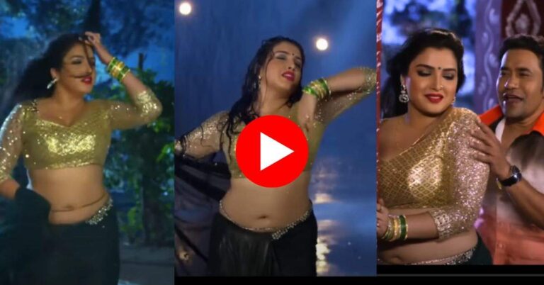 Bhojpuri Song : निरहुआ के साथ बारिश में भीगी आम्रपाली, ब्‍लैक साड़ी में किया रोमांटिक डांस