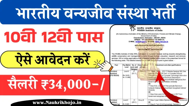 Wildlife Institute Vacancy: भारतीय वन्यजीव संस्था में 10वी पास वालों के लिए निकली बंपर भर्ती, वेतन 1 लाख 12 हज़ार तक
