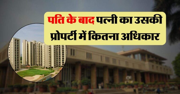 High Court Decisions : पति के बाद पत्नी का उसकी प्रोपर्टी में कितना अधिकार, दिल्ली हाईकोर्ट ने फैसले में किया साफ